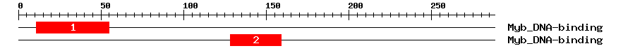 Signature Domain