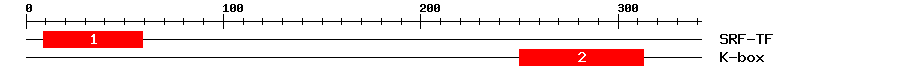 Signature Domain