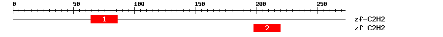 Signature Domain