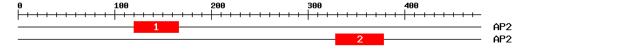 Signature Domain