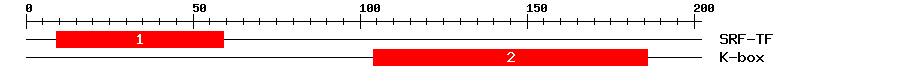 Signature Domain