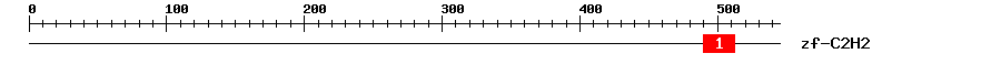 Signature Domain