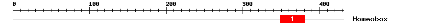 Signature Domain