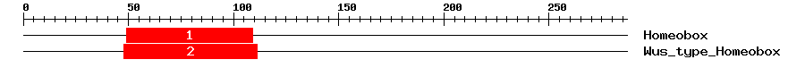 Signature Domain