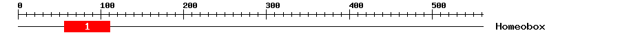Signature Domain