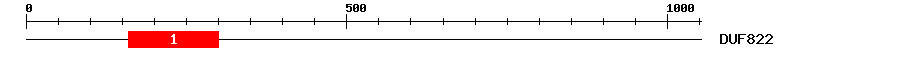 Signature Domain