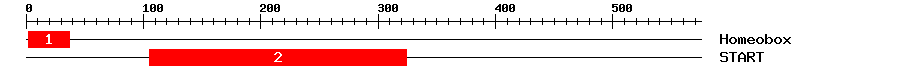 Signature Domain