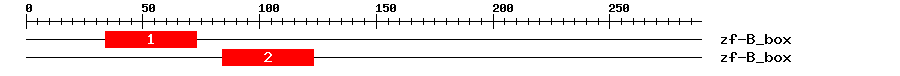 Signature Domain