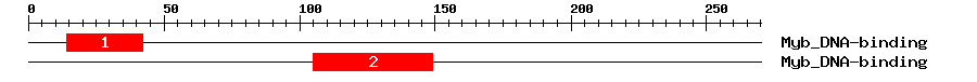 Signature Domain