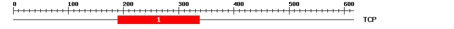 Signature Domain