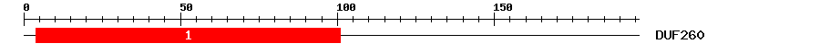 Signature Domain