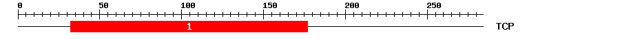 Signature Domain