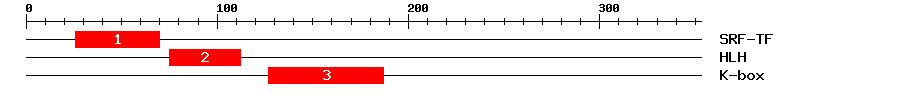 Signature Domain
