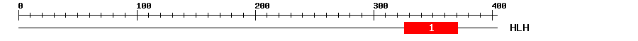 Signature Domain