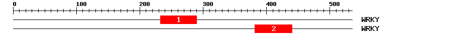 Signature Domain