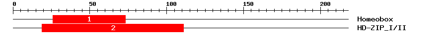 Signature Domain