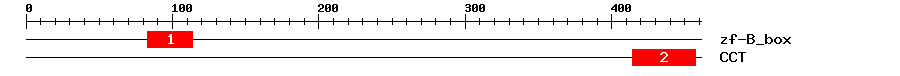 Signature Domain