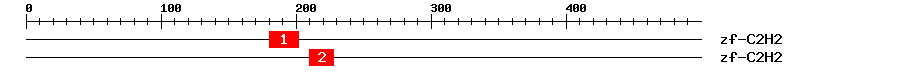 Signature Domain