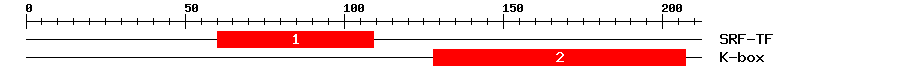 Signature Domain