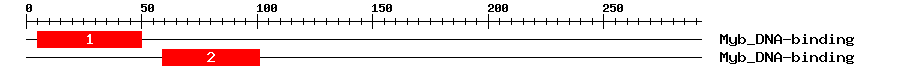Signature Domain