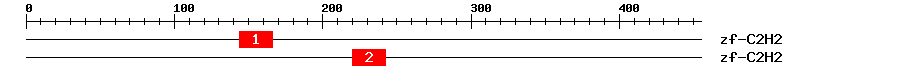 Signature Domain