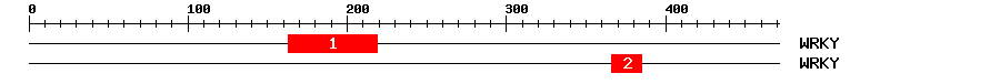 Signature Domain