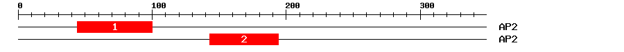 Signature Domain