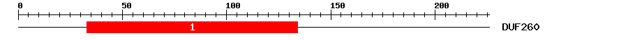 Signature Domain