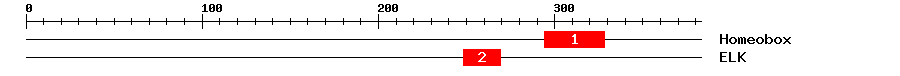Signature Domain