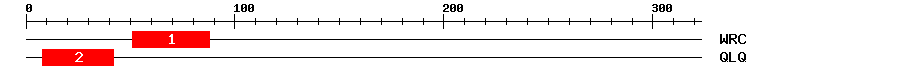 Signature Domain
