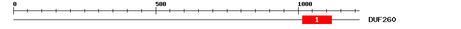 Signature Domain