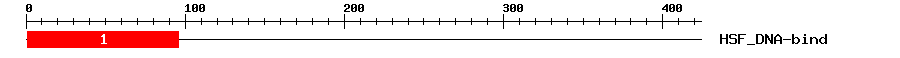 Signature Domain