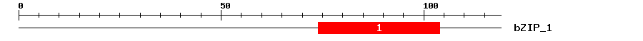 Signature Domain