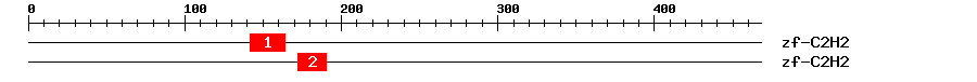 Signature Domain