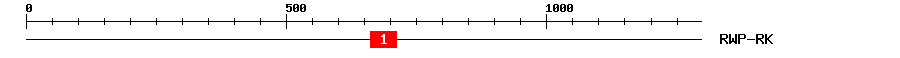 Signature Domain
