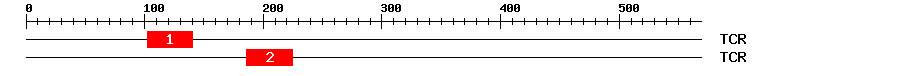 Signature Domain