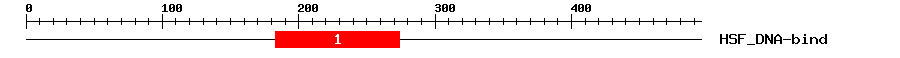 Signature Domain