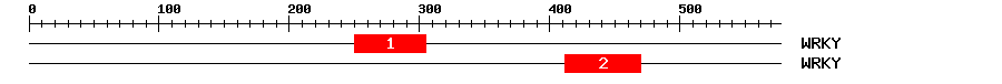 Signature Domain