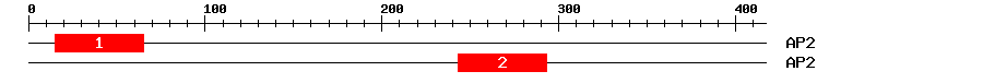 Signature Domain