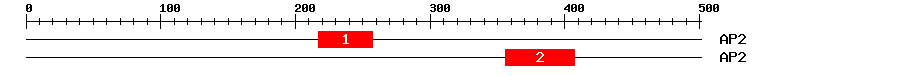 Signature Domain