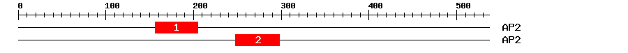 Signature Domain