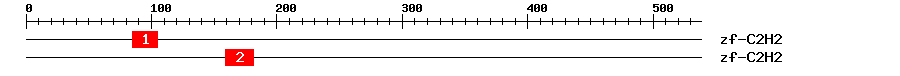 Signature Domain