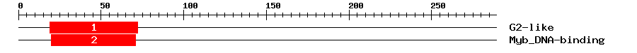 Signature Domain