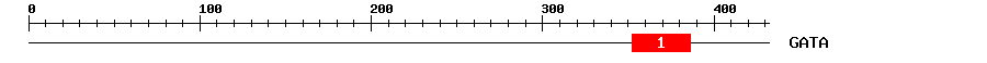 Signature Domain