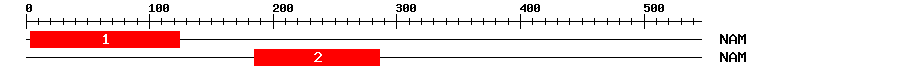 Signature Domain