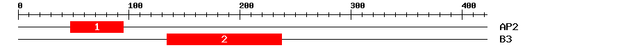 Signature Domain