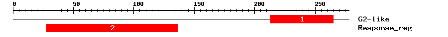 Signature Domain