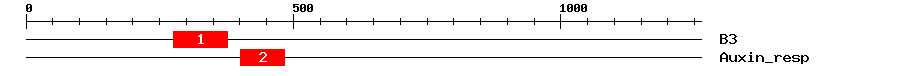 Signature Domain
