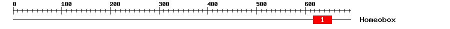 Signature Domain