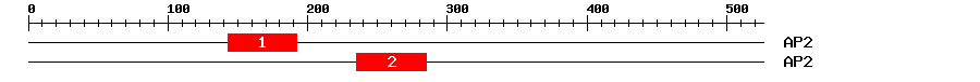 Signature Domain